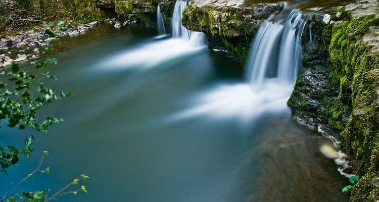 Country Roads of Wales, Devon & Cornwall (Small Groups, 11 Days) - Insight Vacations 6