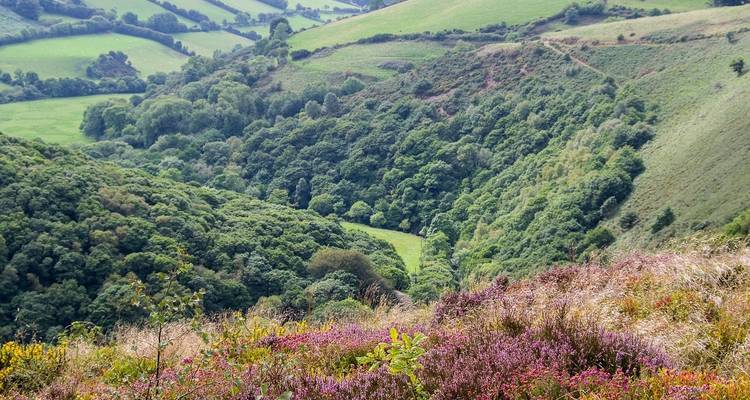 Country Roads of Wales, Devon & Cornwall (Small Groups, 11 Days) - Insight Vacations 9