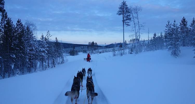 Aurores boréales en Scandinavie (petits groupes) - Insight Vacations 8
