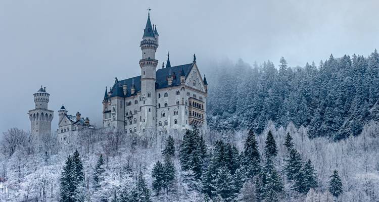 Winterszene eines Märchenschlosses umgeben von Nebel und Wald.