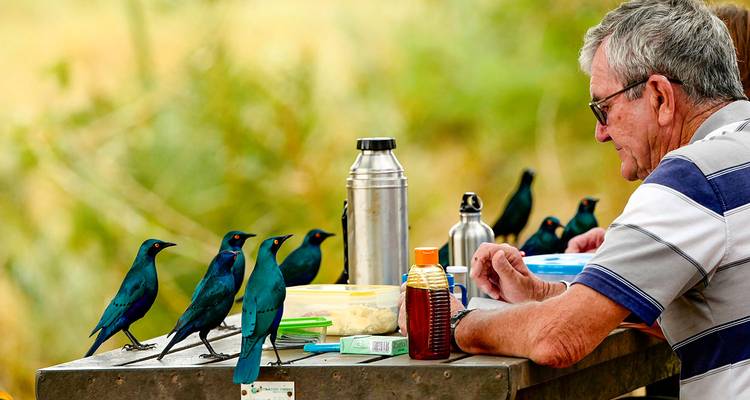 Tailor-Made Kruger National Park Safari, Daily Departure & Private Tour - Agate Travel 1
