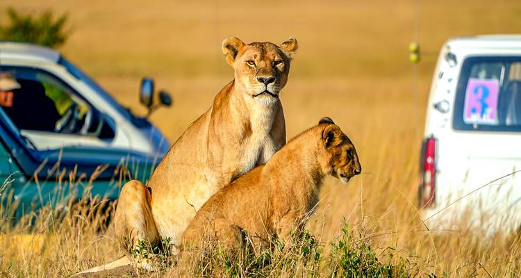 Vacances privées sur mesure de 2 semaines en Afrique du Sud, départ quotidien - Agate Travel 3