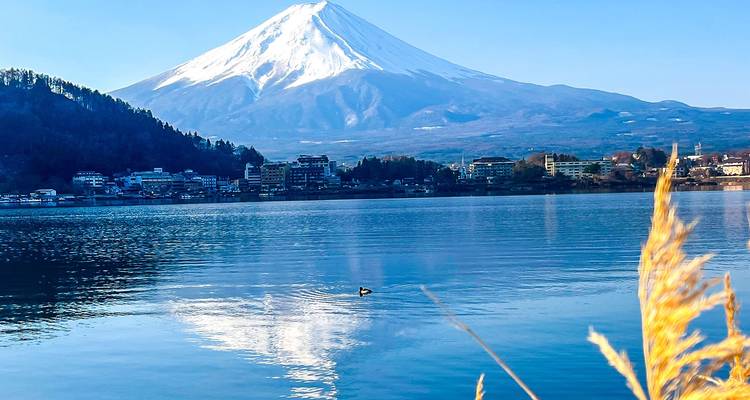 Los mejores viajes familiares a Japón con salida diaria, sin grupo - Agate Travel 1