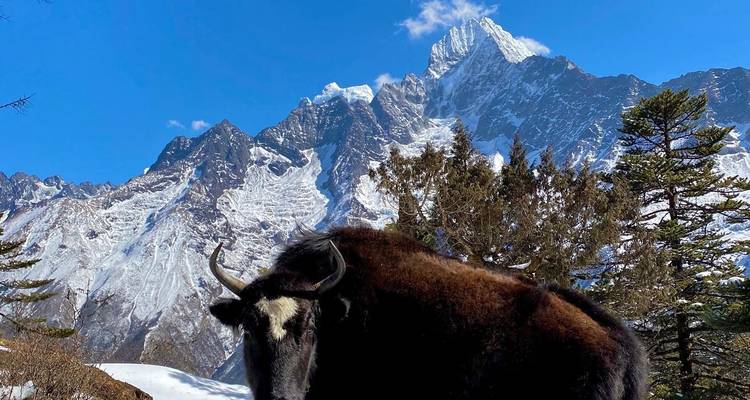 Compartir el campamento base del Everest en helicóptero - Eco Holidays Nepal 7