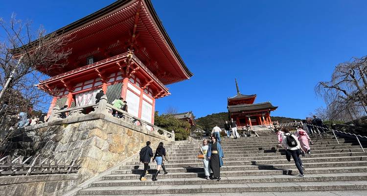 Circuit de luxe en famille au Japon avec départ quotidien, sans groupe - Agate Travel 8