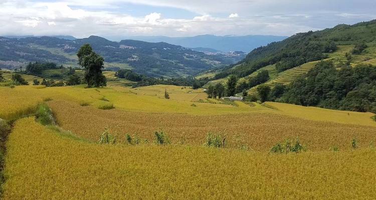 Incroyable Yunnan 8D : Kunming, Red Land, Jianshui, Yuanyang - Silk Road Trips 10
