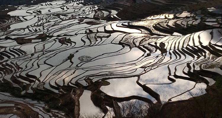 Incroyable Yunnan 8D : Kunming, Red Land, Jianshui, Yuanyang - Silk Road Trips 4
