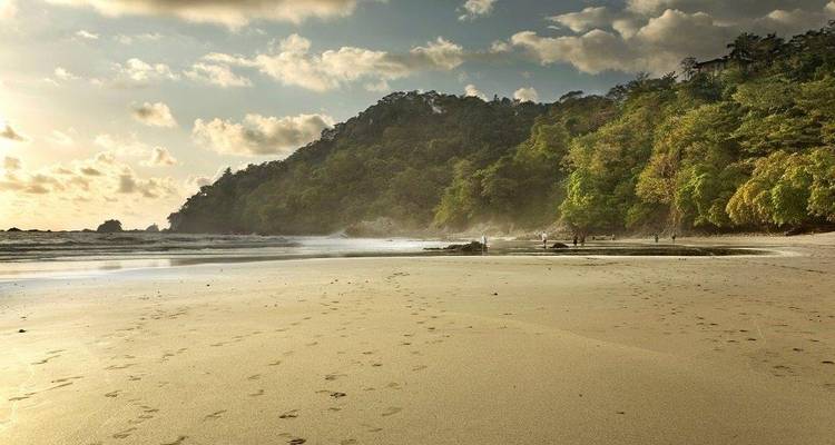 Playa de ensueño de Manuel Antonio, escapada - Destination Services Costa Rica 2