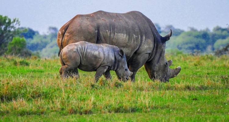 Aventura por Kenia personalizado con salida diaria y circuito privado - Agate Travel 8