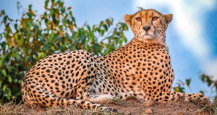Safari personalizado de 10 días por la vida salvaje de Kenia, con salida diaria y en privado - Agate Travel 2