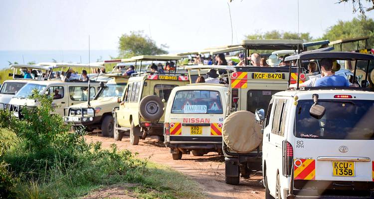 Safari personalizado de 10 días por la vida salvaje de Kenia, con salida diaria y en privado - Agate Travel 1