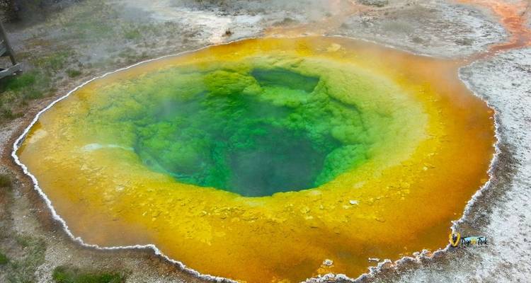 Aventure dans le parc national de Yellowstone et des Grand Tetons - 5 jours - Bucket List Group Travel LLC 2