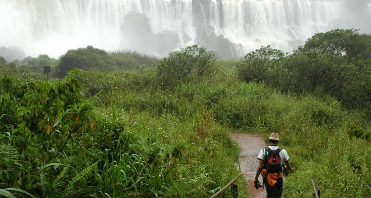 Touriste marchant sur un sentier vers les chutes d'Iguazu, entouré d'une végétation luxuriante.