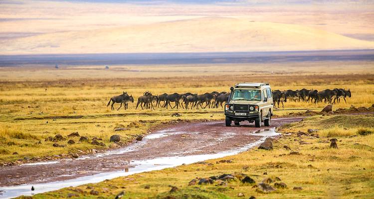 Safari privado personalizado por Kenia a Masai Mara, salida diaria - Agate Travel 6