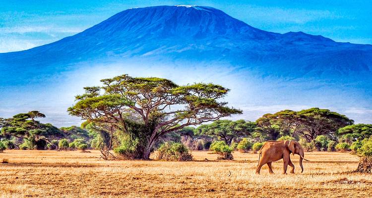 Customized 4-Day Mount Kenya Trekking, Daily Departure & Private Trip - Agate Travel 8