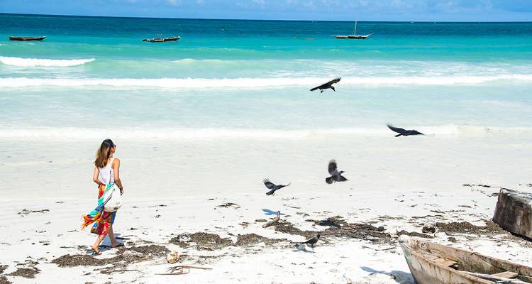 Persoon die op een strand loopt met vogels die rondvliegen.
