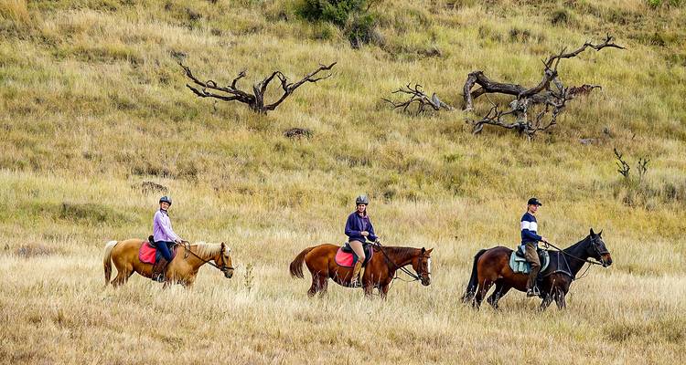 Drie mensen die paardrijden door een grazig veld.