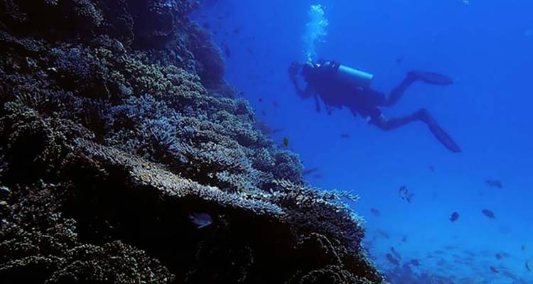 Egypte - Voyage de groupe Pyramides Croisière sur le Nil - Bucket List Group Travel LLC 7