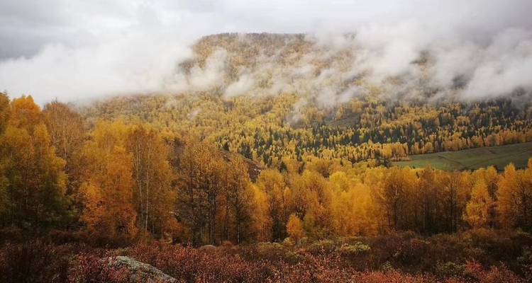 Excursión exprés de 4 días a Kanas desde Urumqi, en el norte de Xinjiang - Silk Road Trips 3