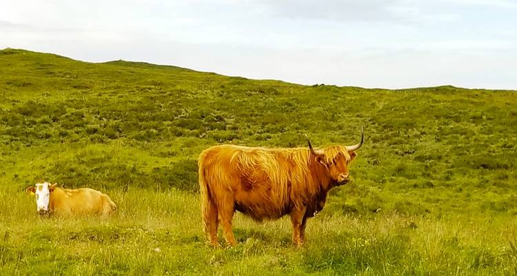 Angleterre Écosse Irlande - Les incontournables du Royaume-Uni - Bucket List Group Travel LLC 6