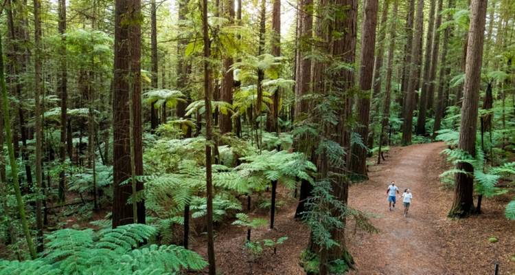 24 Day 'Kea' National Adventure Tour - Stray Travel 7