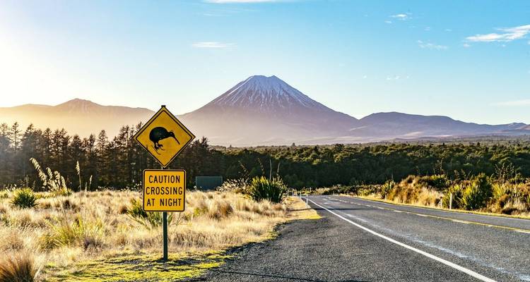 24 Day 'Kea' National Adventure Tour - Stray Travel 9