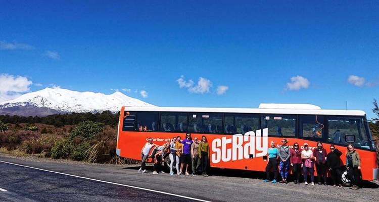 11 Day 'Takahe' South Island Select Tour - Stray Travel 2