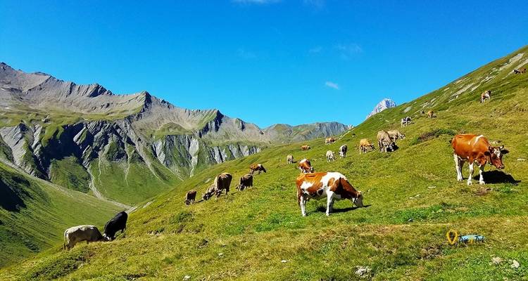 TOUR DU MONT BLANC – Switzerland France Italy - Bucket List Group Travel LLC 2