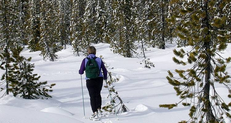 EE.UU. - 6 días de aventura por la fauna Invernal de Yellowstone - Bucket List Group Travel LLC 1