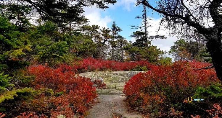 USA – Best of Acadia National Park Maine - Bucket List Group Travel LLC 4