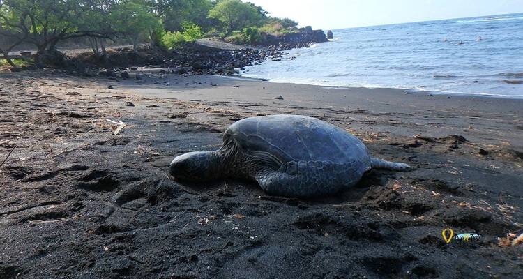 USA – Hawaii Big Island Volcanoes & Beaches - Bucket List Group Travel LLC 9