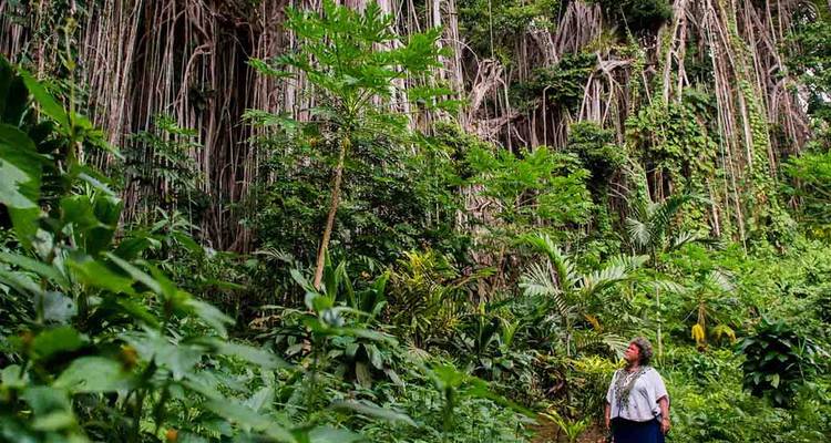 Vanuatu Expedition - Intrepid Travel 7