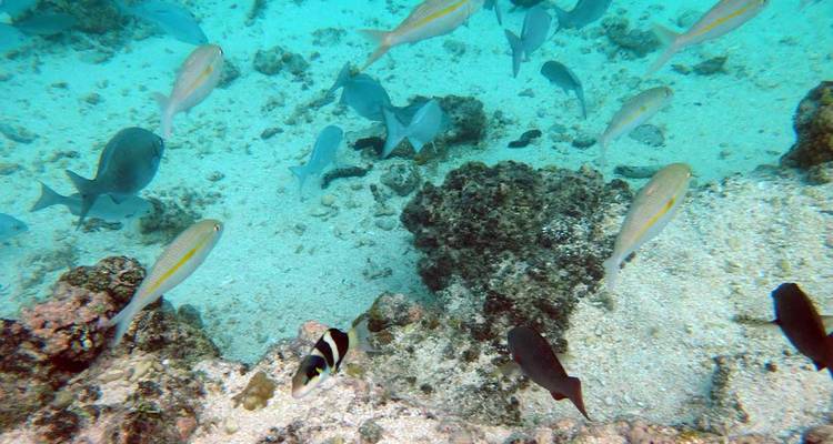 Vanuatu Expedition - Intrepid Travel 4