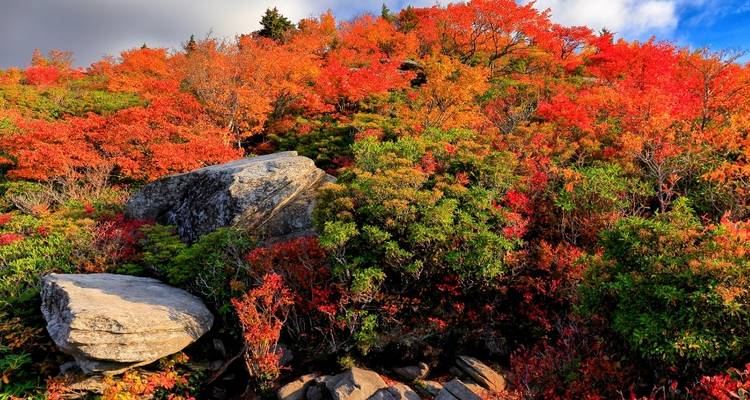 USA – 5 Days Blue Ridge Parkway to Great Smoky Mountains - Bucket List Group Travel LLC 6