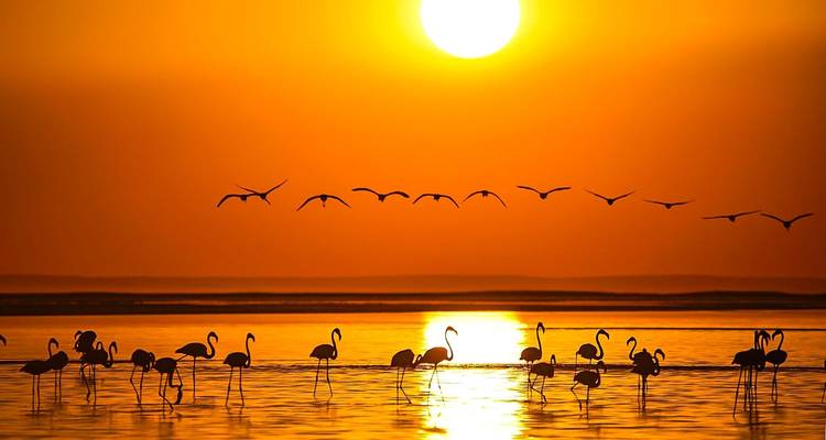 Tailor-Made 2 Weeks Private Turkey Vacation with Daily Departure - Agate Travel 8