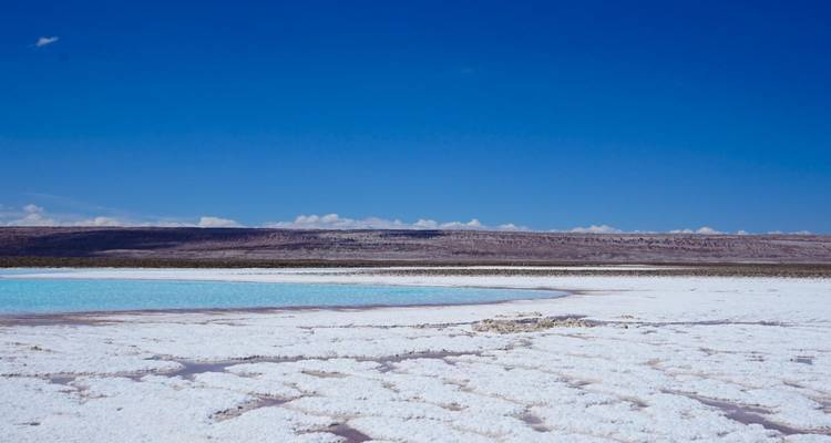 Un salar blanco con una piscina de agua turquesa cristalina.
