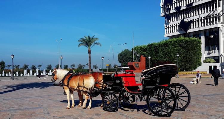 Buitenscène met een paardenkoets op een geplaveid gebied.