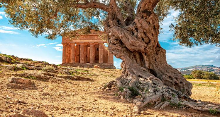 Splendid Sicily - from Catania to Taormina (10 days/9 nights) - Destination Italia 7
