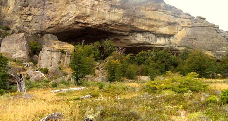 Felsformationen und Bäume in einer natürlichen Landschaft.