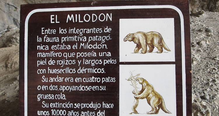 Informationsschild über den Milodon.