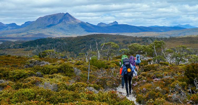 Trek sur la piste de Cradle Mountain Overland Track - Intrepid Travel 7