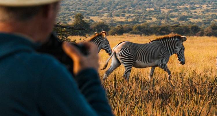1 DAY MAASAI MARA SAFARI - FLY IN PACKAGE - Samson's Safaris 3