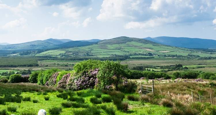 Le goût de l'Irlande en autotour - 7 jours/6 nuits - CIE Tours 3