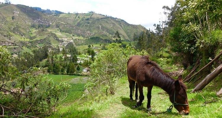 Aventure des volcans de l'Équateur 5J/4N - Bamba Travel 4