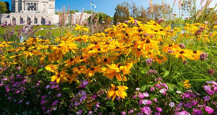 Flores amarillas y rosadas brillantes en un jardín paisajístico enmarcando un majestuoso edificio histórico bajo cielos azules.
