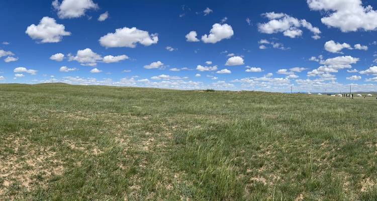 Uitgestrekt groen veld onder een bewolkte blauwe hemel.