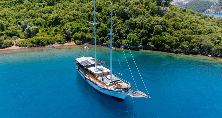 Yacht ancré près d'un rivage luxuriant et verdoyant avec une eau bleue claire.