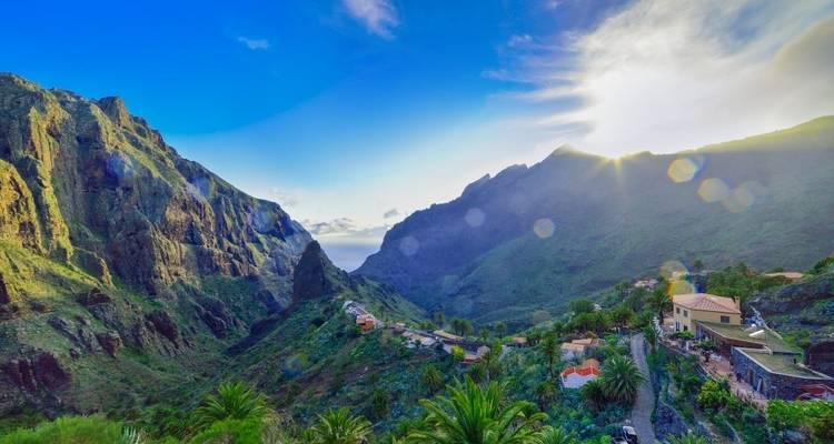 Contrasts of Tenerife Walk - Exodus Adventure Travels 5