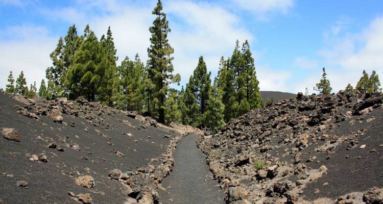 Contrasts of Tenerife Walk - Exodus Adventure Travels 2