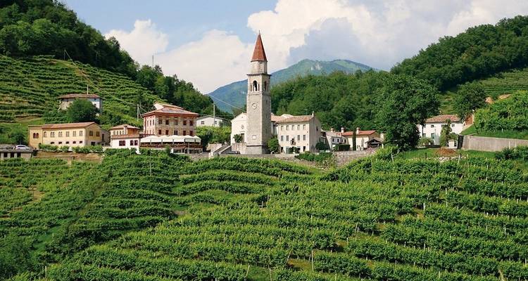 Wijngaardlandschap met een toren in het midden.